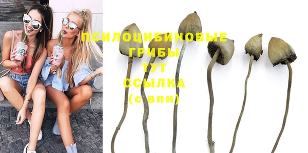 синтетический гашиш Алексеевка