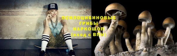 синтетический гашиш Алексеевка