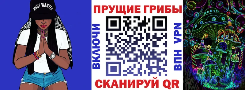 нарко площадка Telegram  кракен ONION  Красково  Псилоцибиновые грибы Psilocybine cubensis 